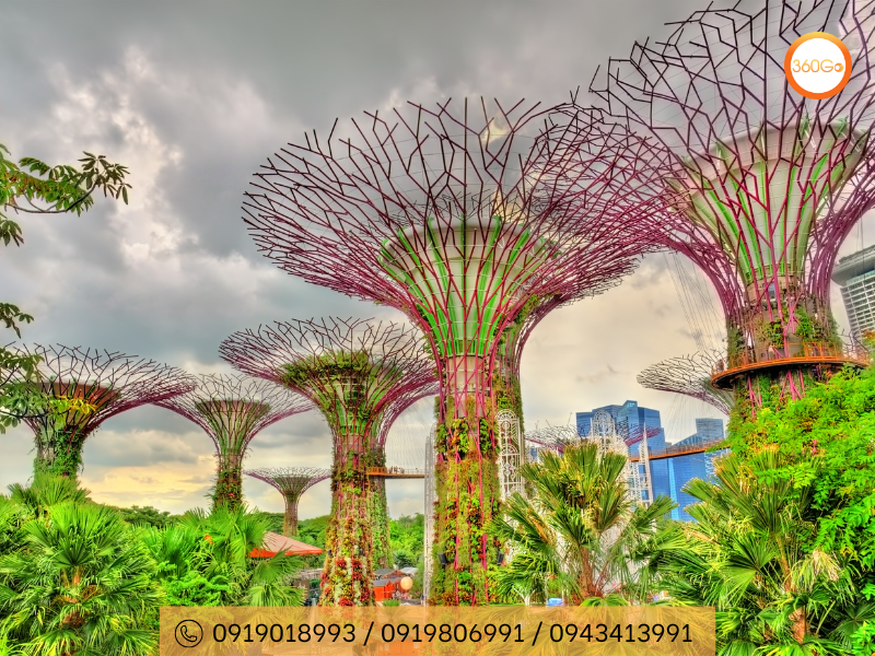 Gardens by the Bay - Singapore - Du lịch 360Go